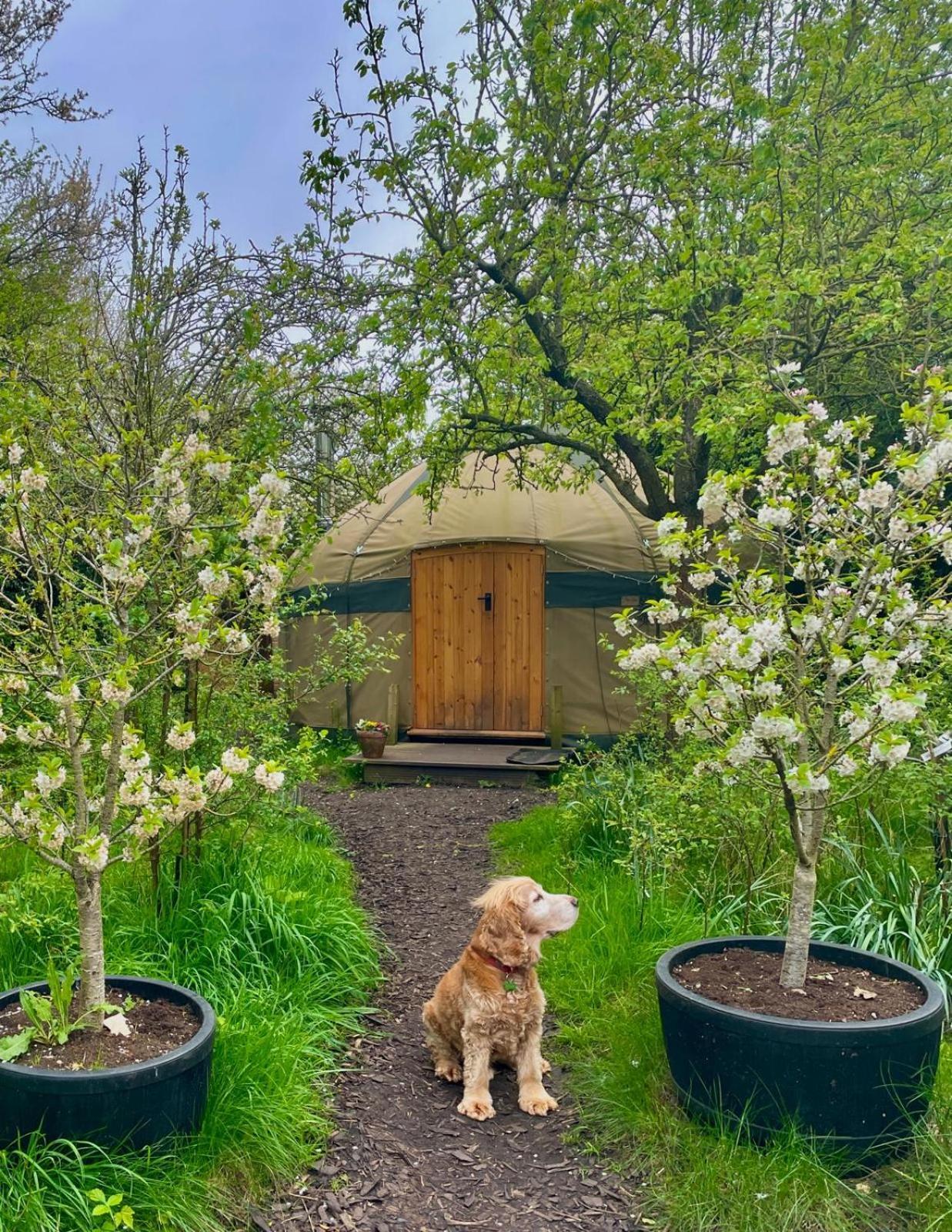 Stamford Meadows Glamping With Private Hot Tubs Hotel Екстериор снимка